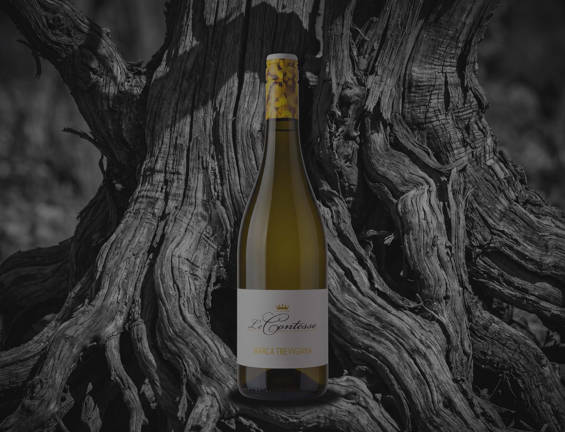 Frizzante-Weine von Le Contesse